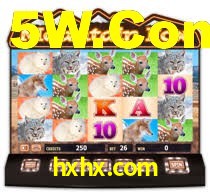 Sinta a adrenalina dos jogos de cassino com hxhx.com